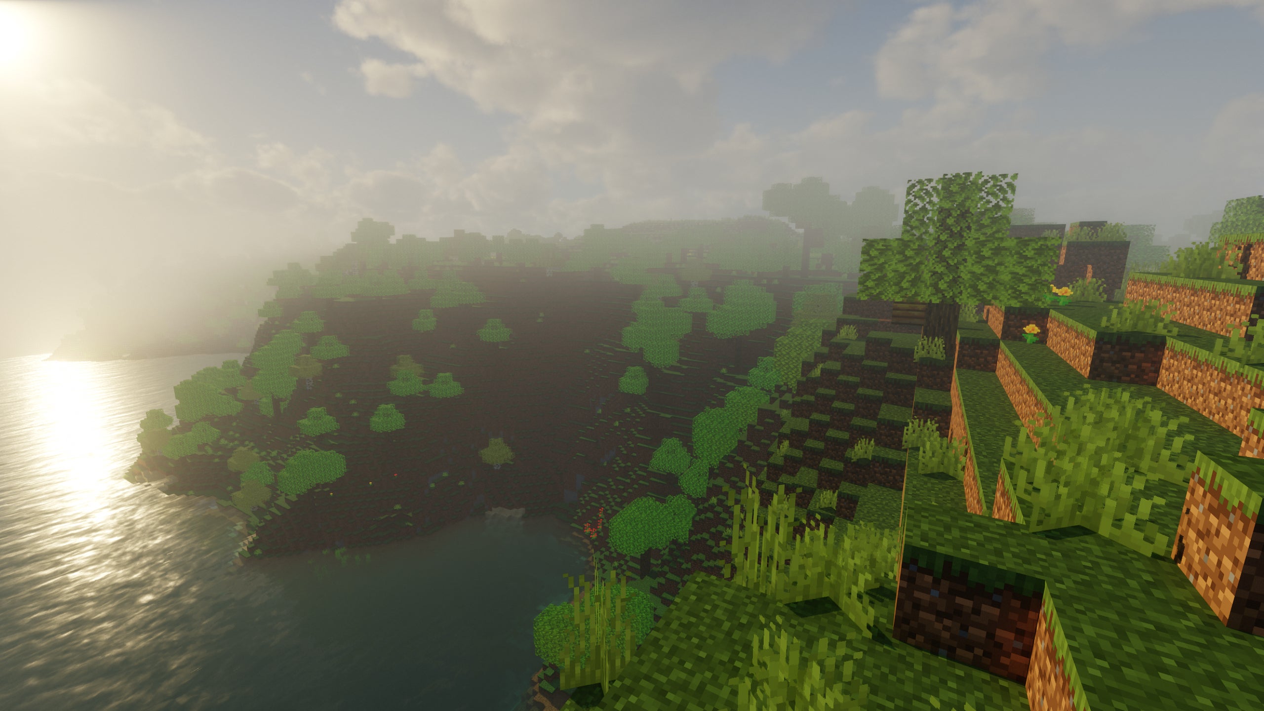 Some grassy coast with a tree in Minecraft showcasing Chocapic13