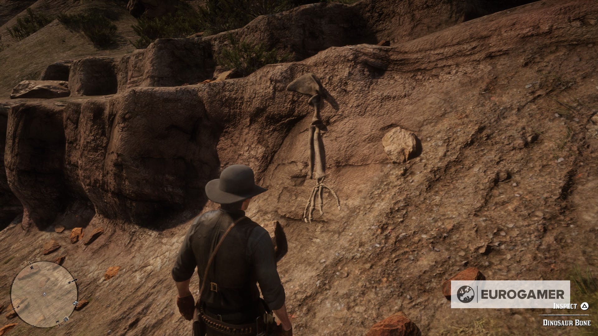 Holla Spring Rdr2 Red Dead Redemption 2 Dinosaur Bone locations and map | Eurogamer.net