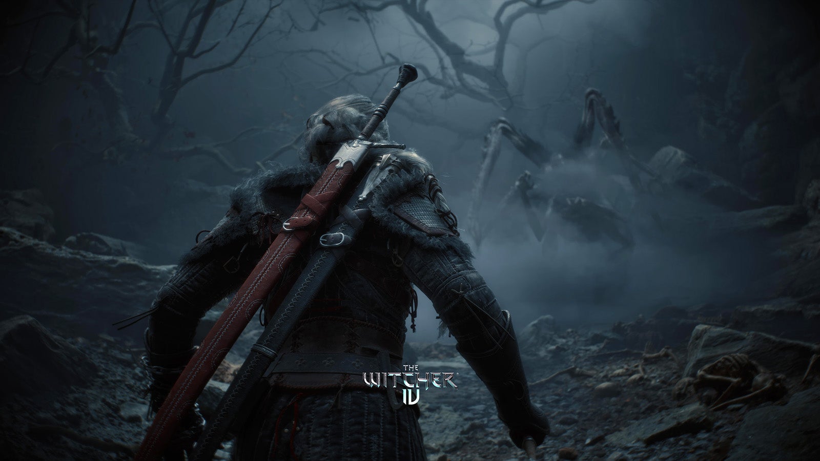 An over-the-shoulder view of an armoured character with two swords on their back rushing a monster in the distance.