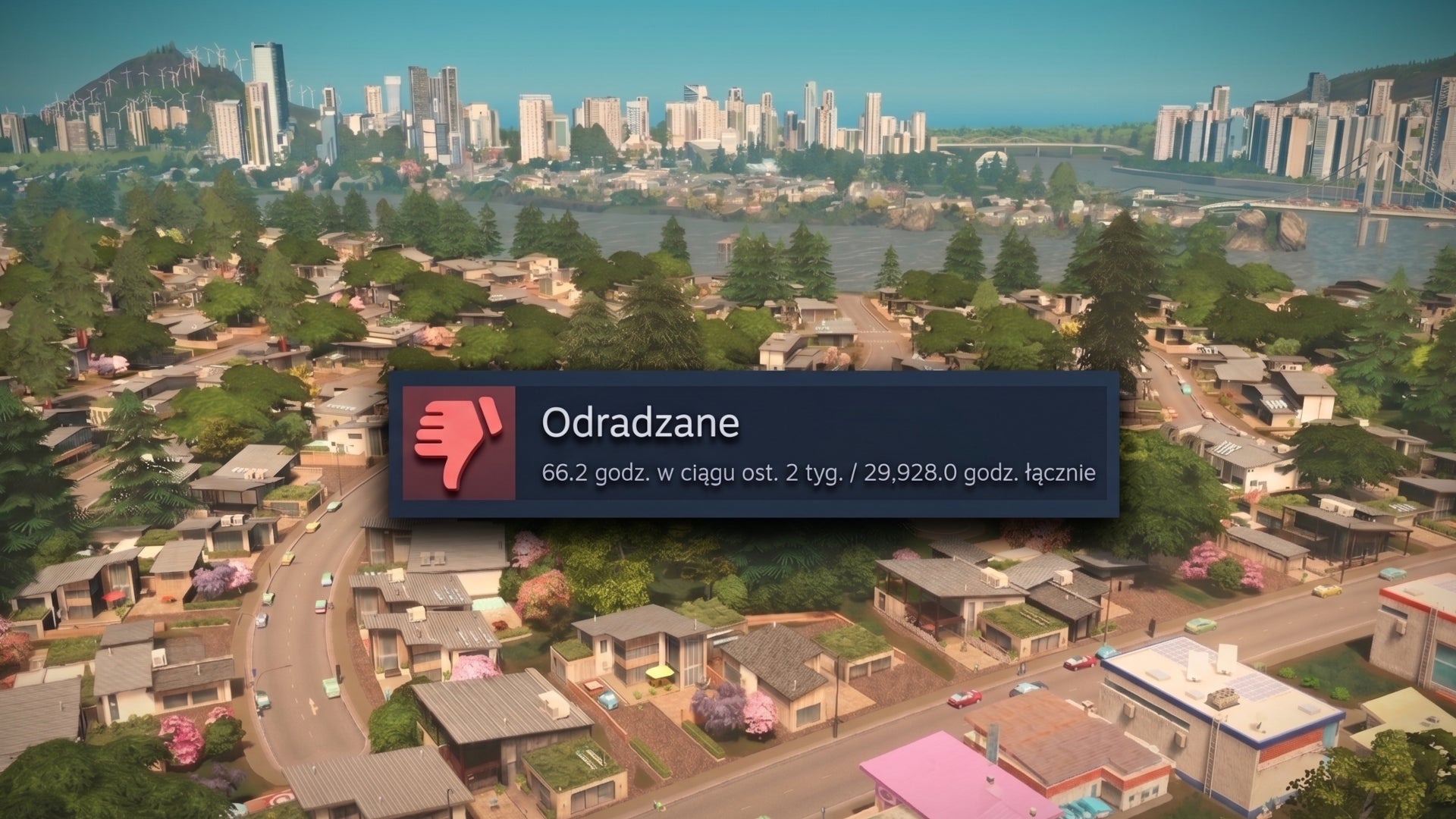 Grał przez 29 tysięcy godzin i zostawił negatywną recenzję. Tak potrafią tylko miłośnicy symulatorów