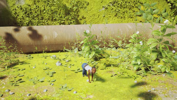 CJ the cat out in the wild.