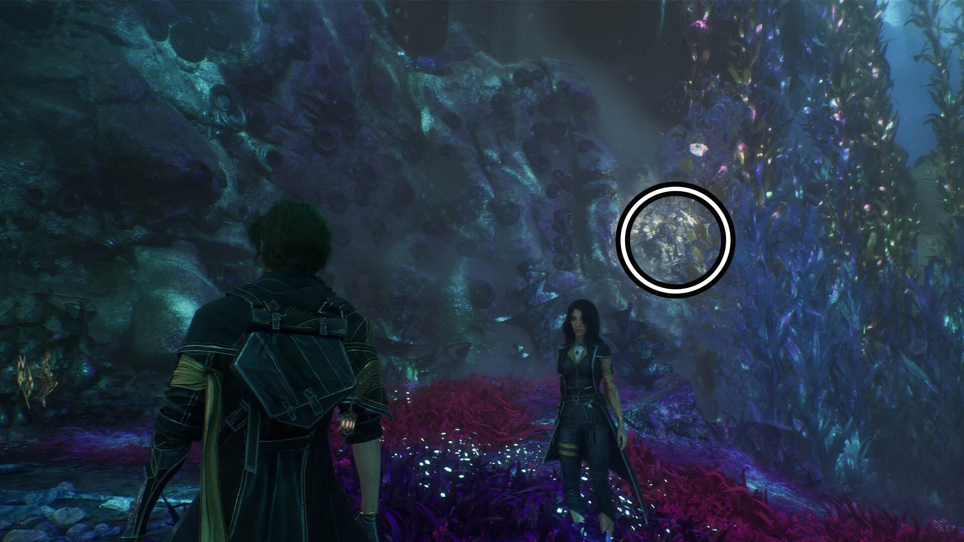 clair obscur expedition 33 flying waters paint box one lock one