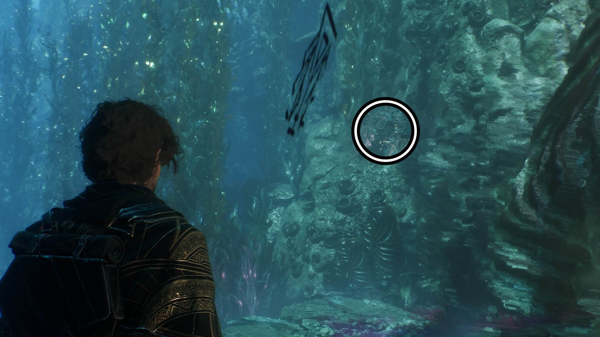 clair obscur expedition 33 flying waters paint box one lock two