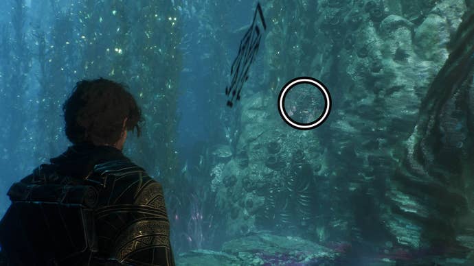 clair obscur expedition 33 flying waters paint box one lock two