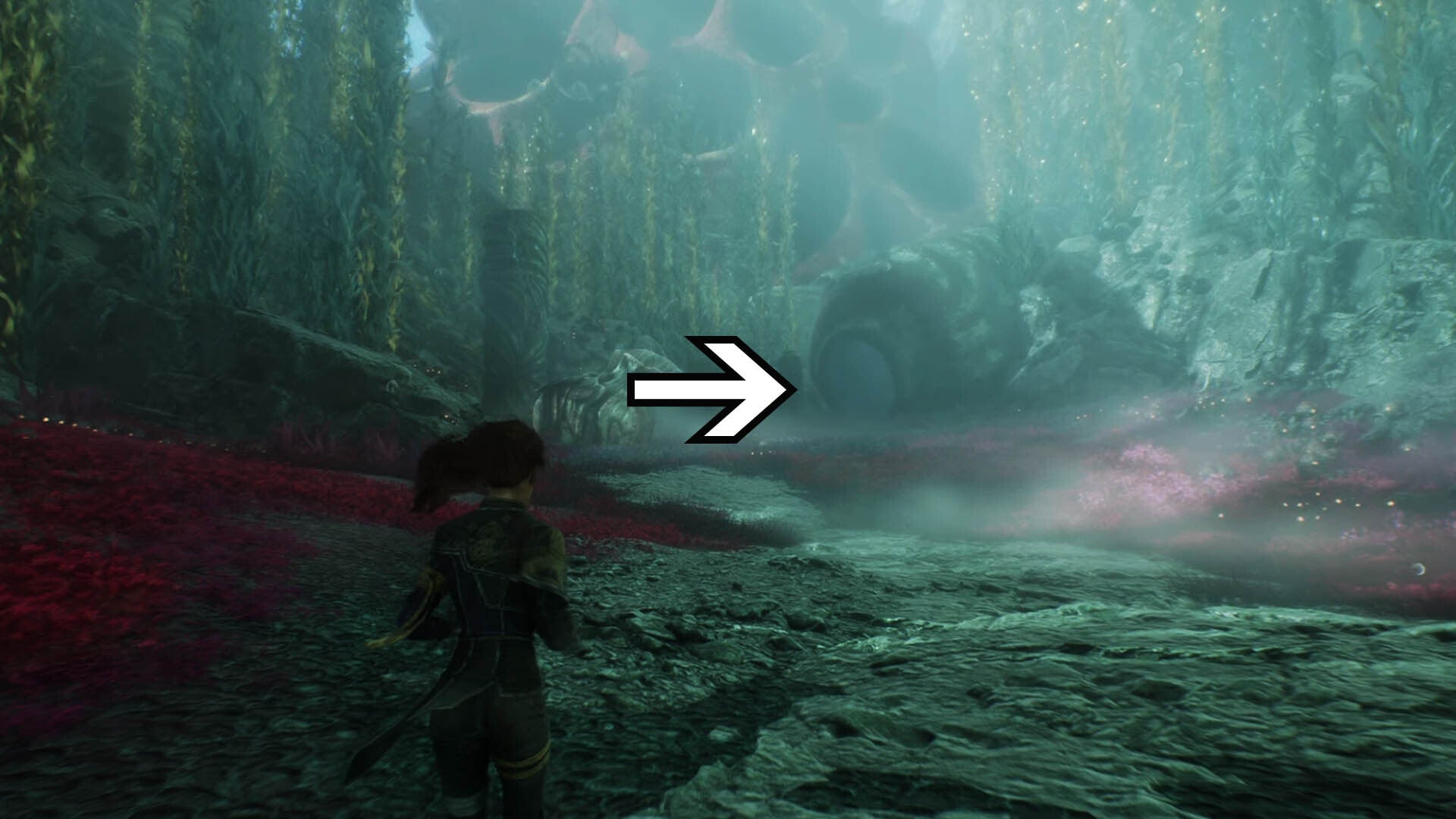 clair obscur expedition 33 flying waters path to demineur