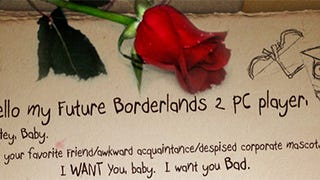 LAN, FOV, PC UI: Borderlands 2 Wants You Bad, Baby