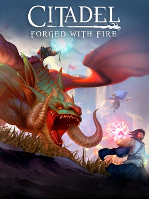 Caixa de jogo de Citadel: Forged With Fire