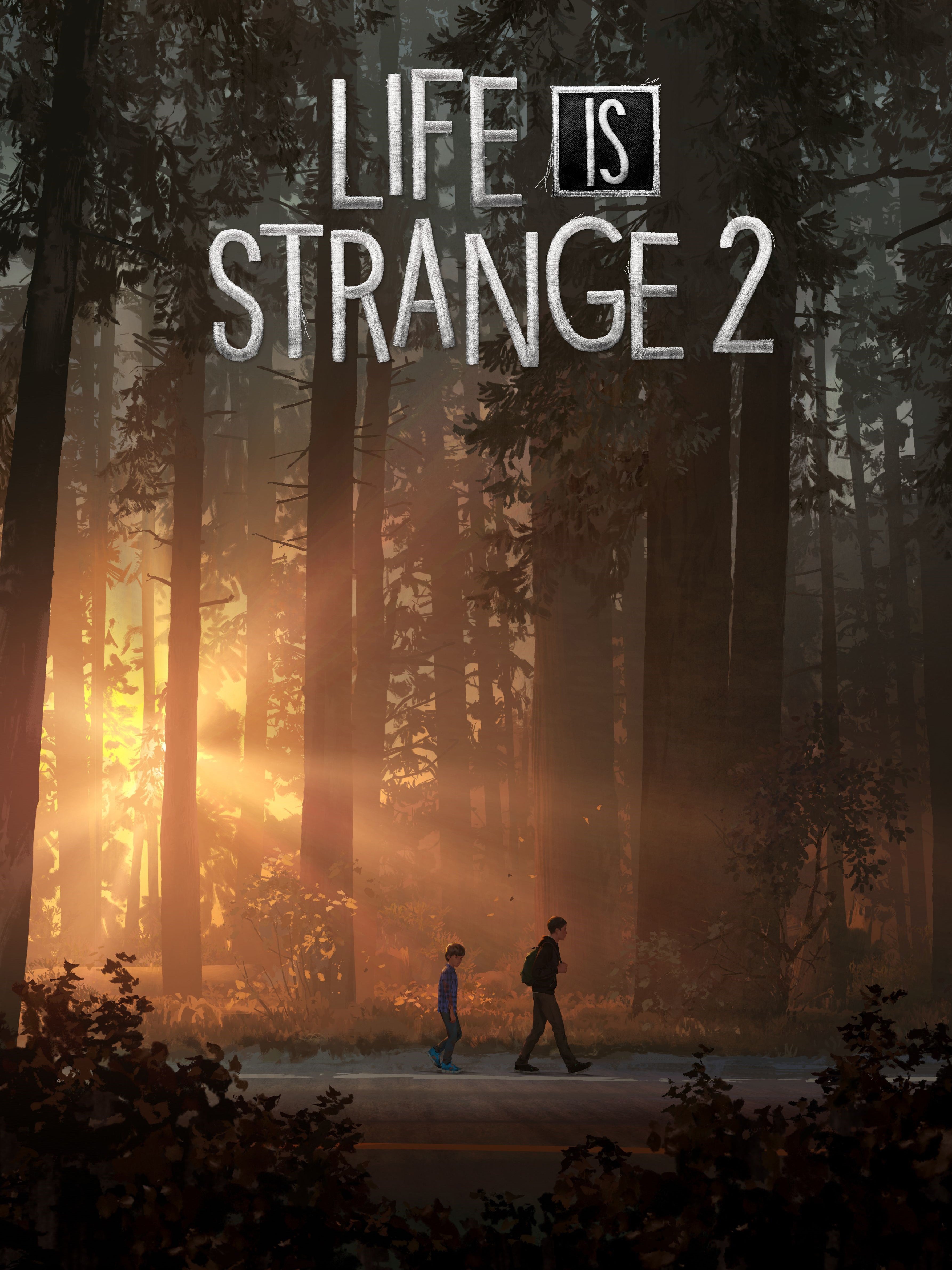 Life is Strange 2 boxart