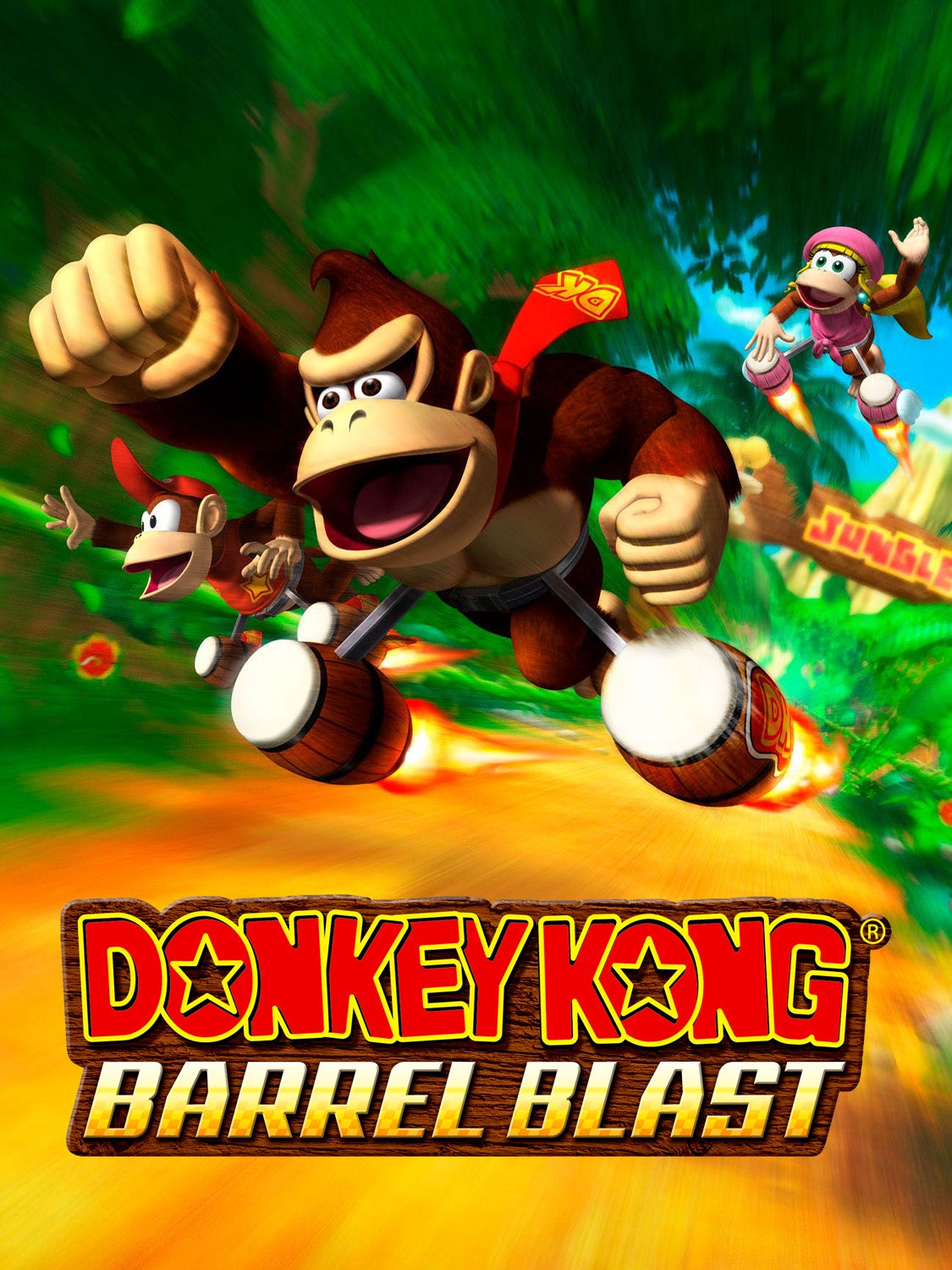 Donkey Kong: Jet Race boxart