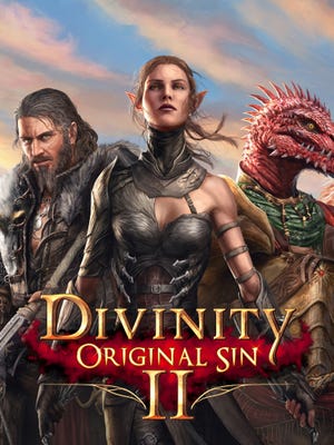 Divinity: Original Sin 2 okładka gry