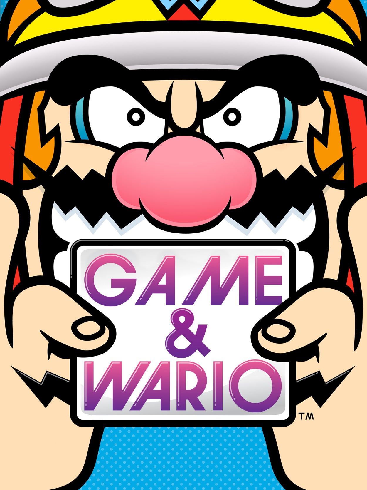 Game & Wario boxart