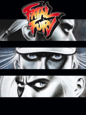 Caixa de jogo de Fatal Fury (Virtual Console)