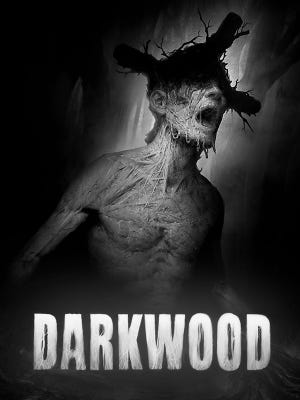 Darkwood okładka gry