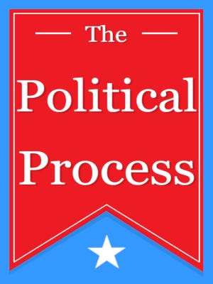 The Political Process boxart
