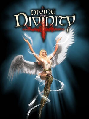 Divine Divinity boxart
