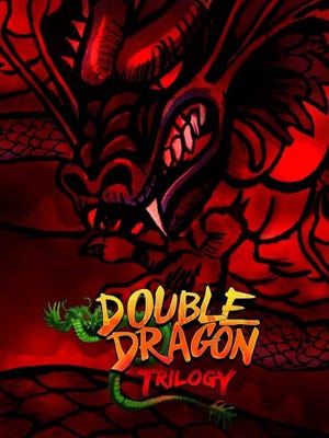 Double Dragon Trilogy okładka gry