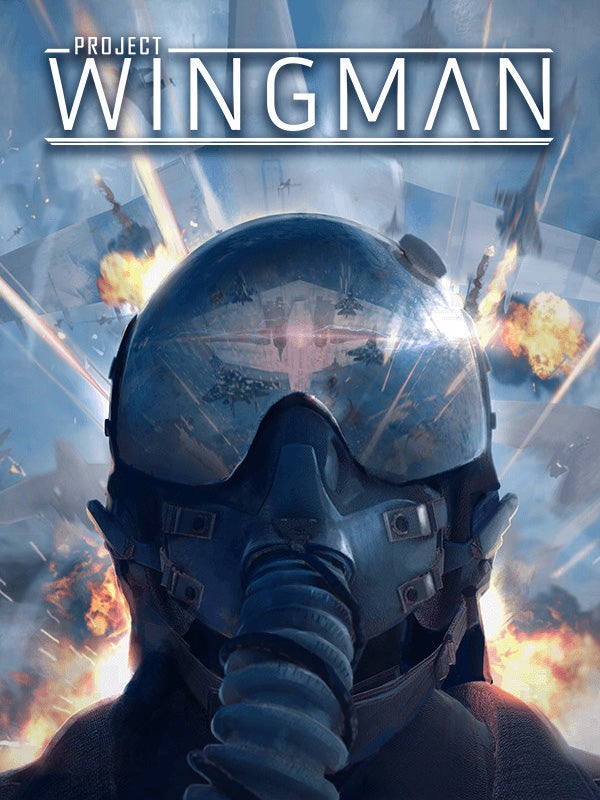 Project Wingman | Eurogamer.net
