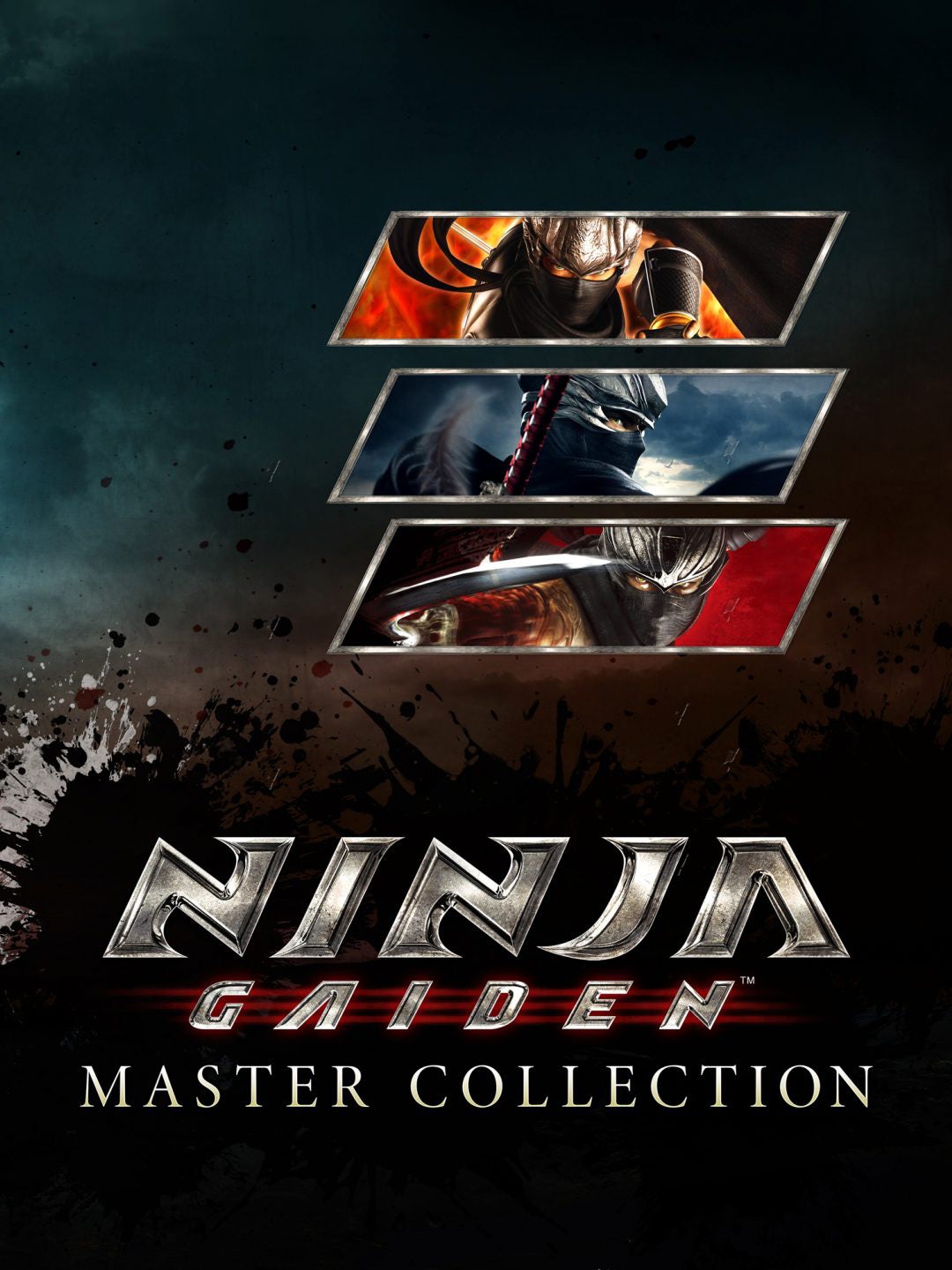 Ninja Gaiden Master Collection boxart