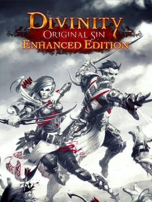Divinity: Original Sin Enhanced Edition okładka gry