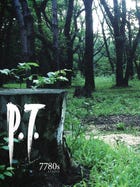 P.T. boxart