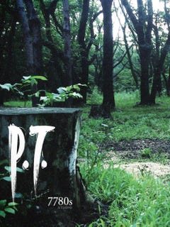 P.T. boxart