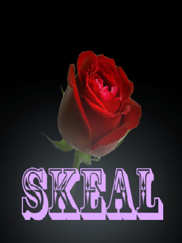 Xmas is almost here, so it's time to play Skeal - 5