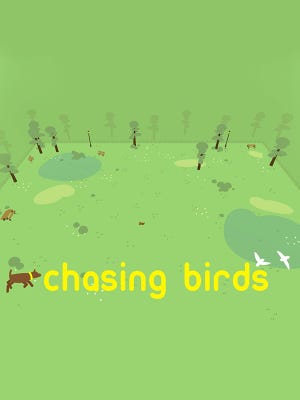 Chasing Birds boxart