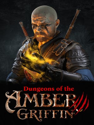 Dungeons of the Amber Griffin okładka gry