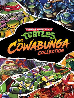 Teenage Mutant Ninja Turtles: The Cowabunga Collection okładka gry