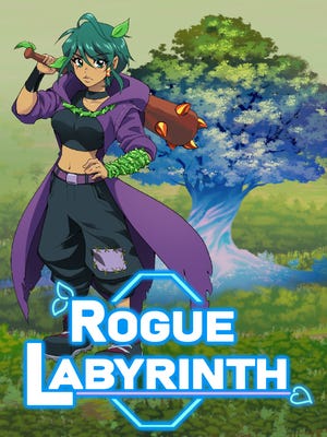 Rogue Labyrinth boxart