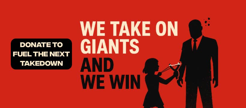 The banner image from Collective Shout's Facebook page