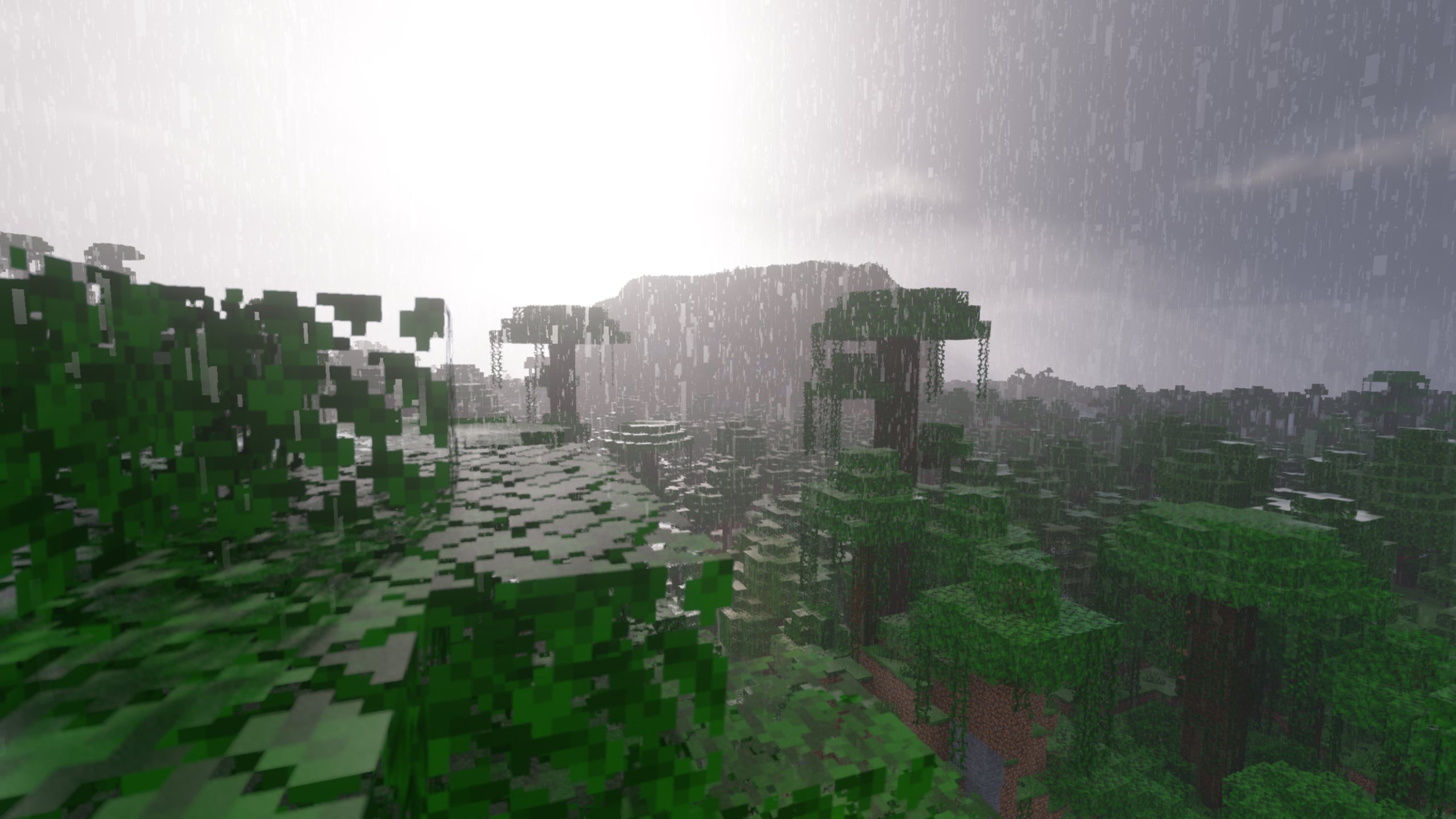 A close-up of some tree leaves in Minecraft showcasing Continuum Shaders.