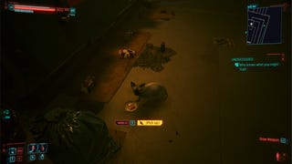 Nibbles the cat eating from their food bowl in Cyberpunk 2077