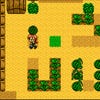 Harvest Moon 2 GBC screenshot