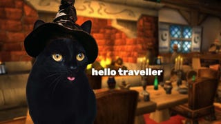 TikTokers have created a player-generated RPG full of money-dealing cats, and it's absolutely wild