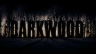 Fear And Roaming: Darkwood