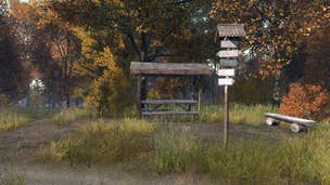 New DayZ engine coming to PC "in a couple of weeks" according to lead producer
