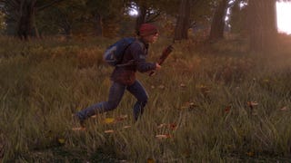 Hackers may have DayZ standalone's source code, expect a cheat explosion