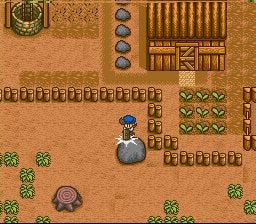 Harvest Moon (Virtual Console) screenshot