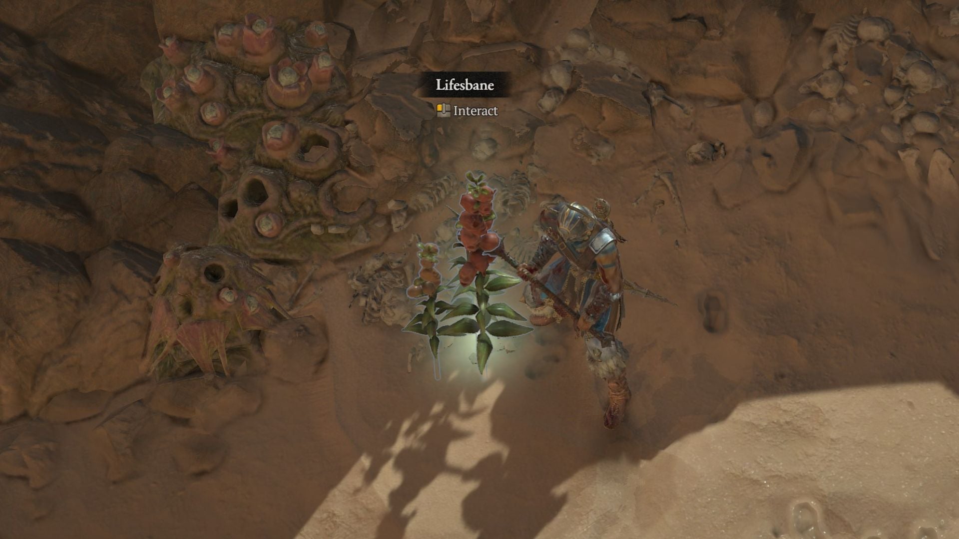 A close-up image of Diablo 4 Lifesbane. - 4