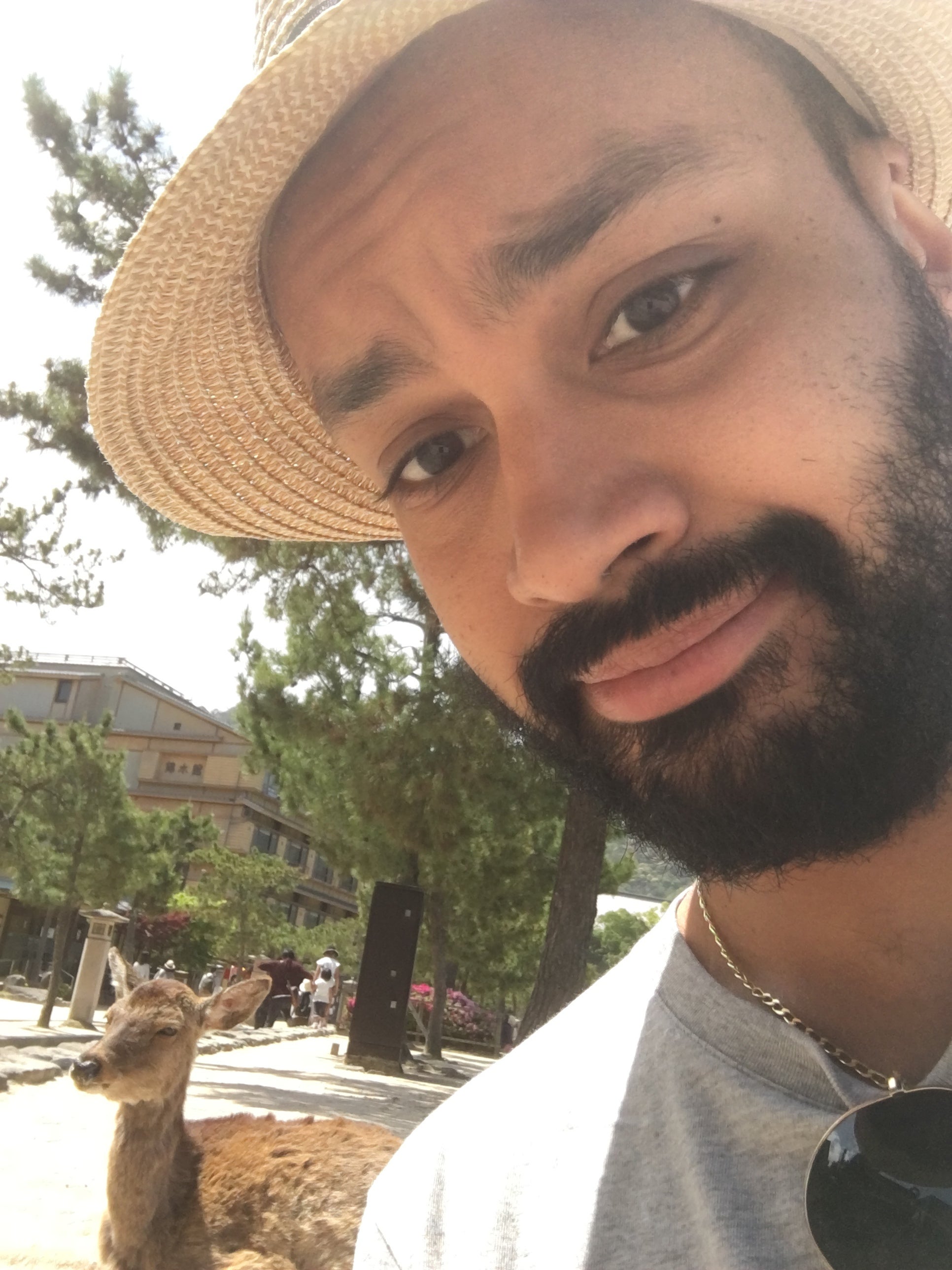 Dion Dassanayake avatar