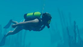 Fathoming A Snorkel: World Of Diving Footage
