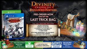 Divinity: Original Sin Enhanced Edition pre-order goodies announced