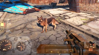 Why I Hate Fallout 4's Stupid Dog