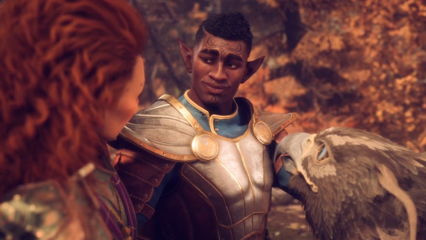 Dragon Age Veilguard screenshot of the Rook and Davrin romance.