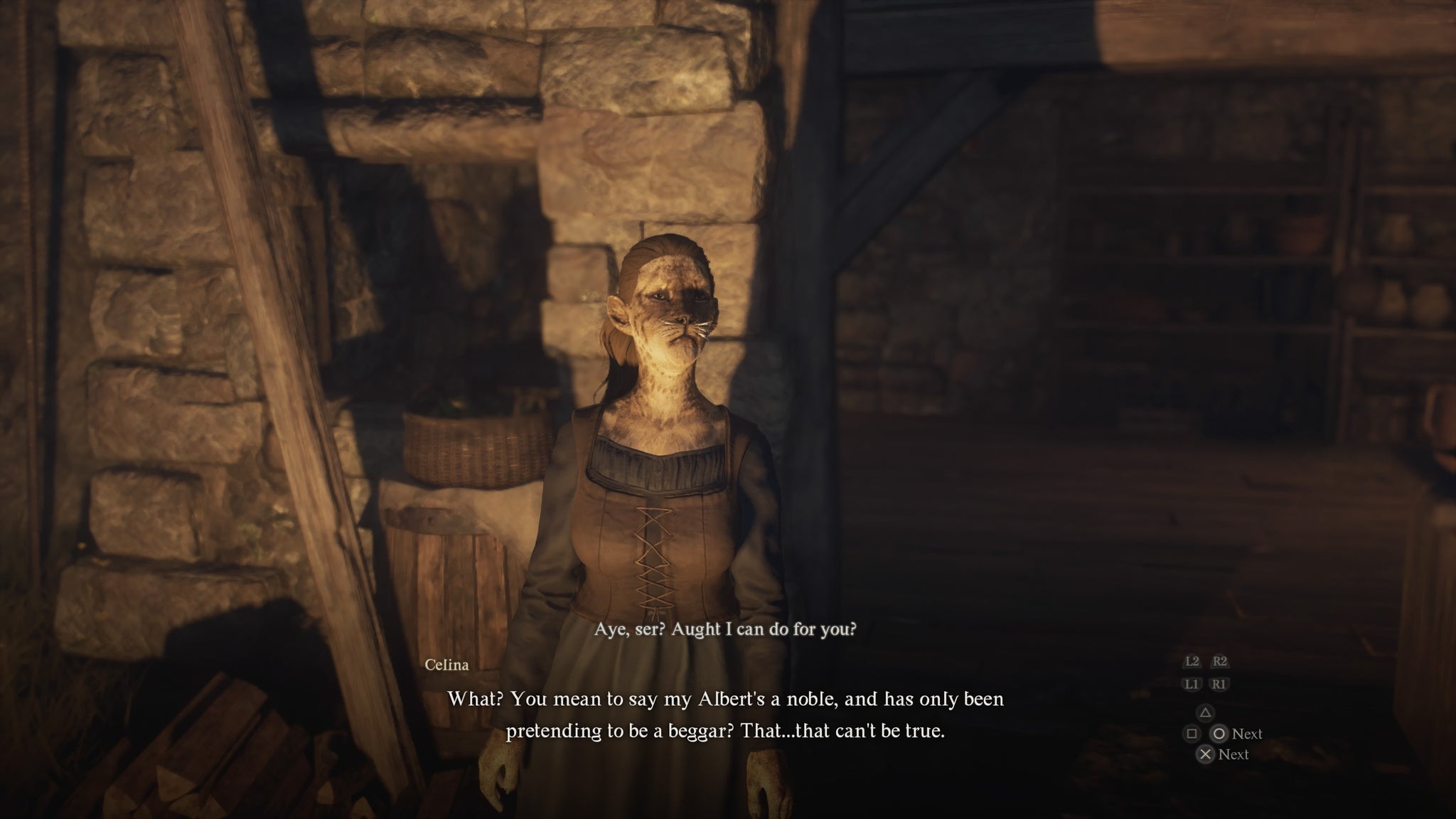 The Arisen speaks to Celina at Walter's Pub in the slums. - 11