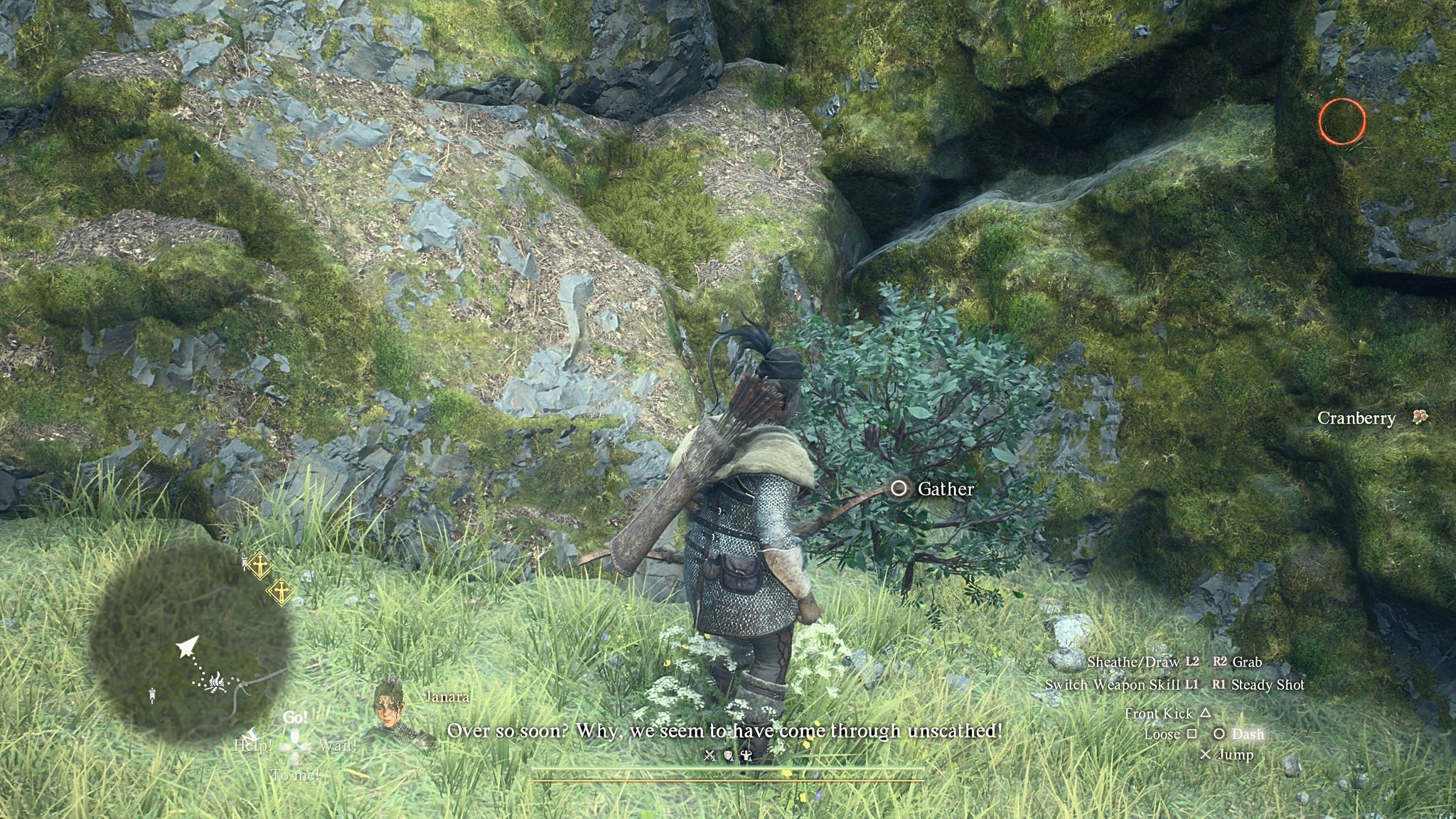 How to craft Dragon's Dogma 2 Fruit Roborant recipe - 3