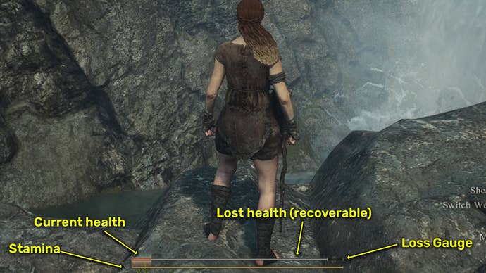 Screenshot of the various healthbars in Dragon’s Dogma 2.