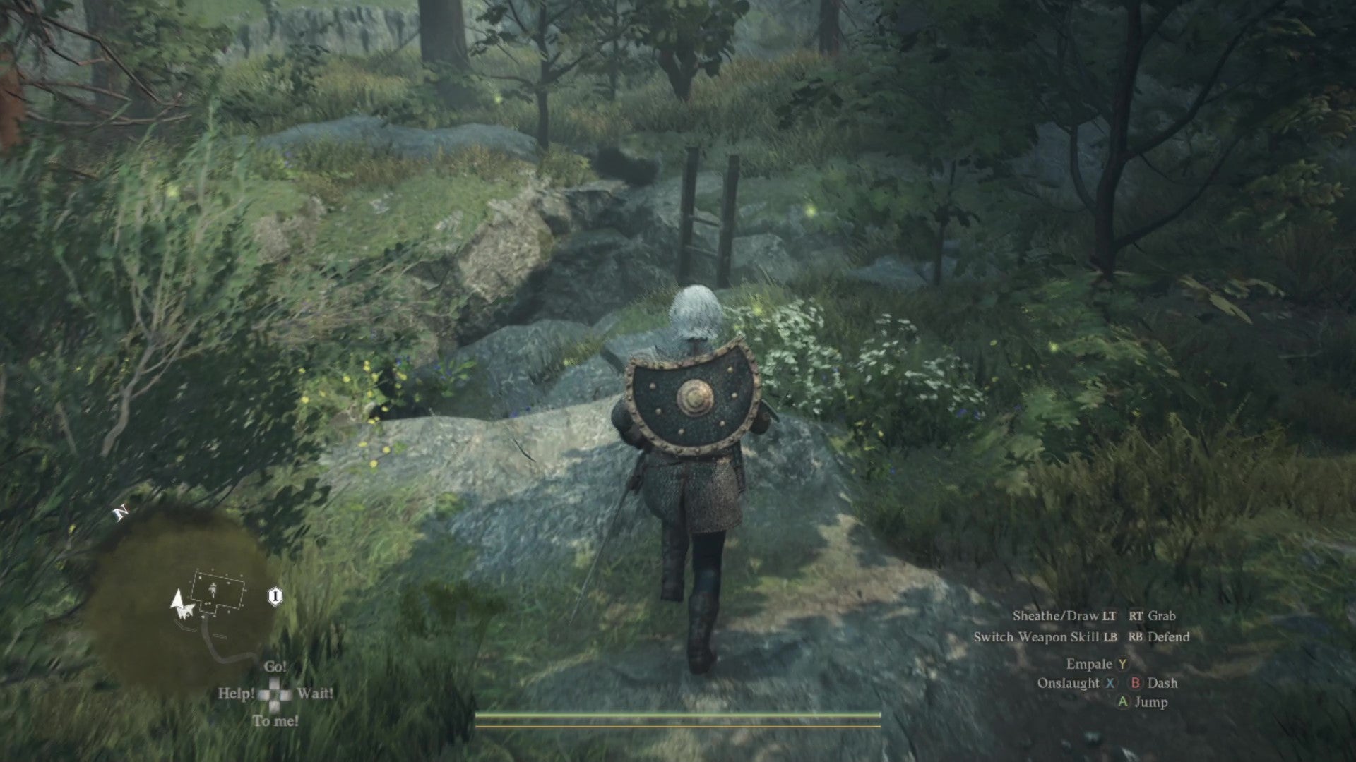 An outdoor space with grass and trees, and a ladder sticky out of a rocky hole in the ground. A human female Arisen approaches it. - 11