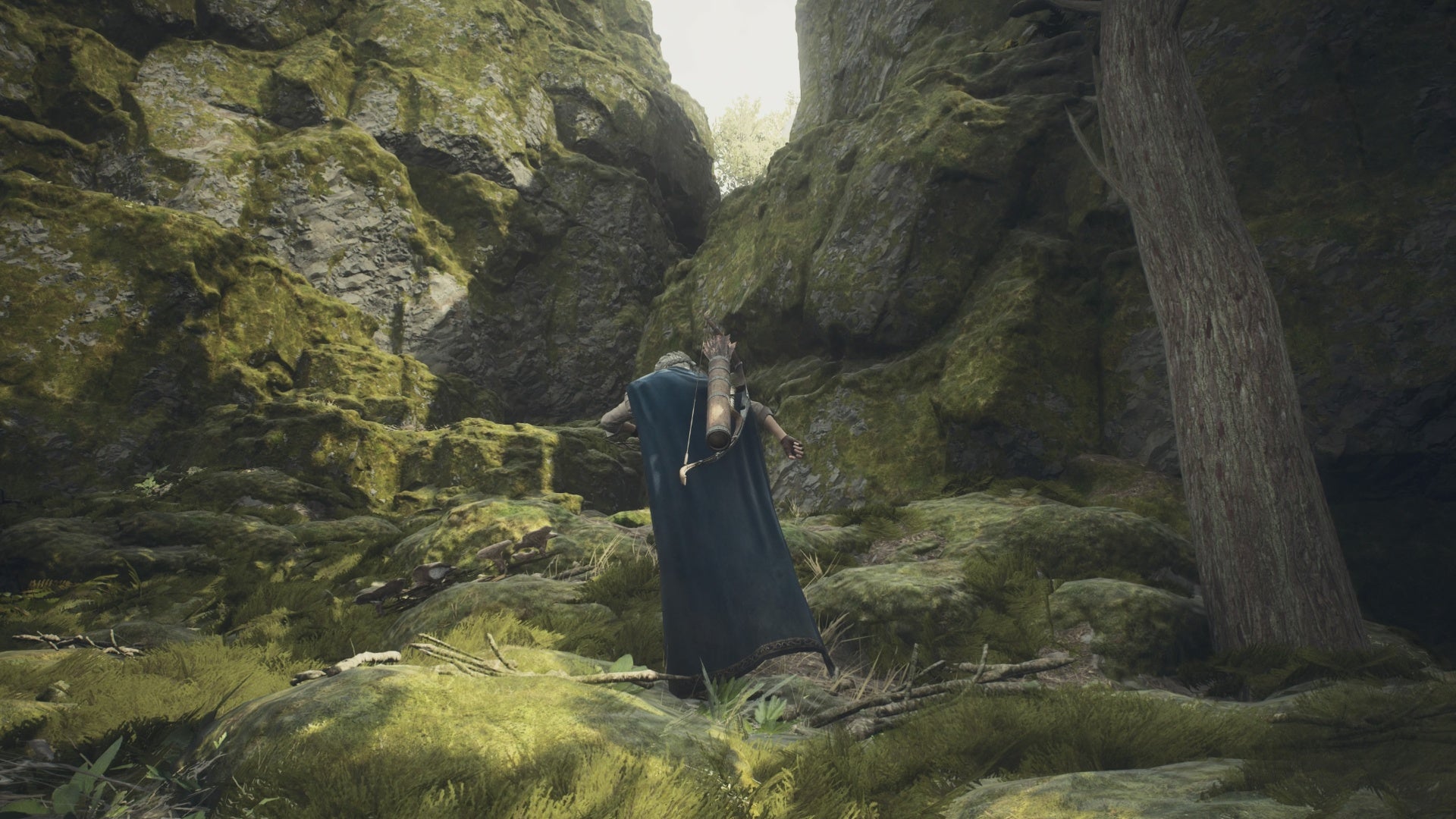 dragons dogma 2 nameless village quest alternate green path